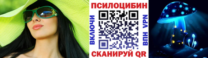 что такое   Когалым  Псилоцибиновые грибы Psilocybe 
